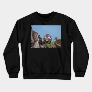 Little owl perched on at tree trunk Crewneck Sweatshirt